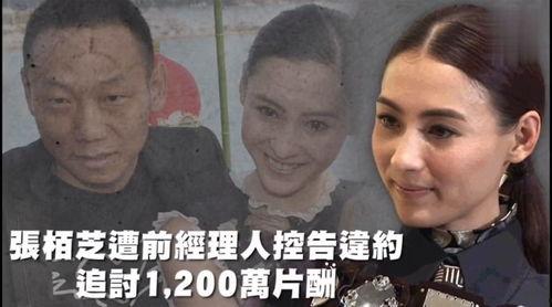娱乐吃瓜排行榜最新,揭秘明星幕后故事，热点事件盘点